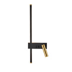  (Background Removed)