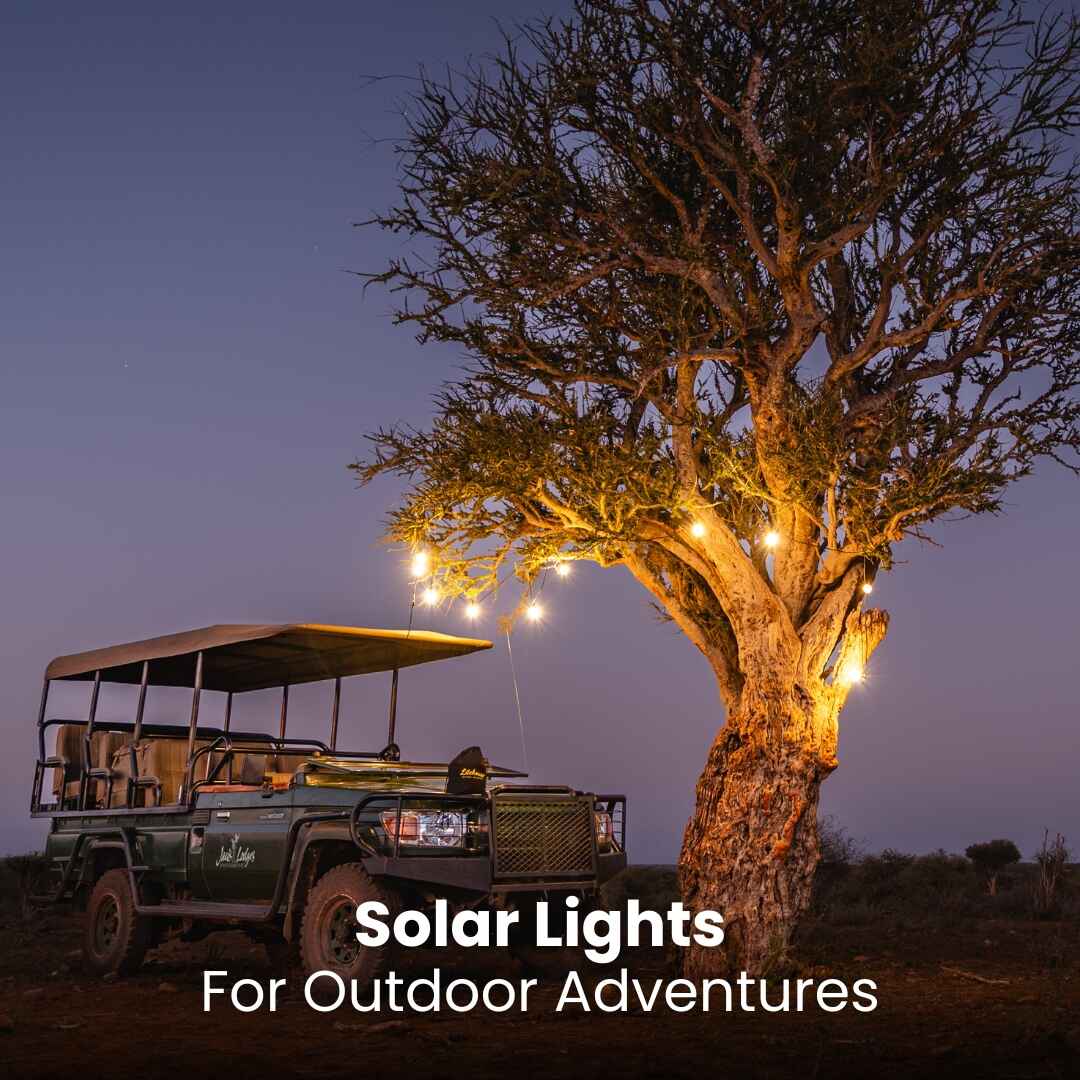 Solar Bulb String Lights